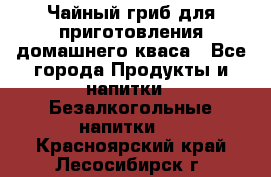 Чайный гриб для приготовления домашнего кваса - Все города Продукты и напитки » Безалкогольные напитки   . Красноярский край,Лесосибирск г.